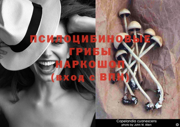 a pvp Абдулино