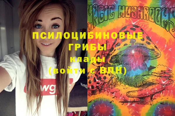 ешки Алексеевка