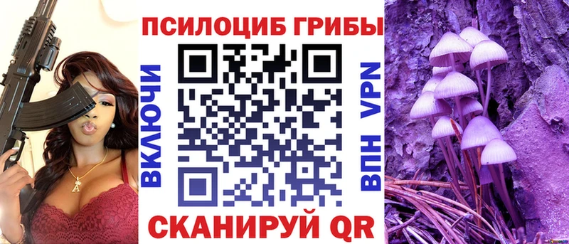 Псилоцибиновые грибы Psilocybe  ссылка на мегу ТОР  Слюдянка 